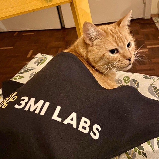 Reese Lechat